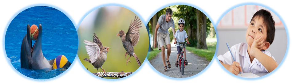 السلوك المتعلم السلوك المتعلم